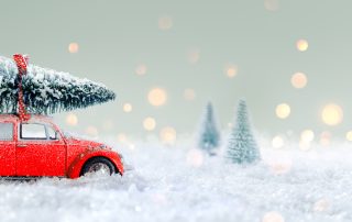A red car carries a tree through snow.