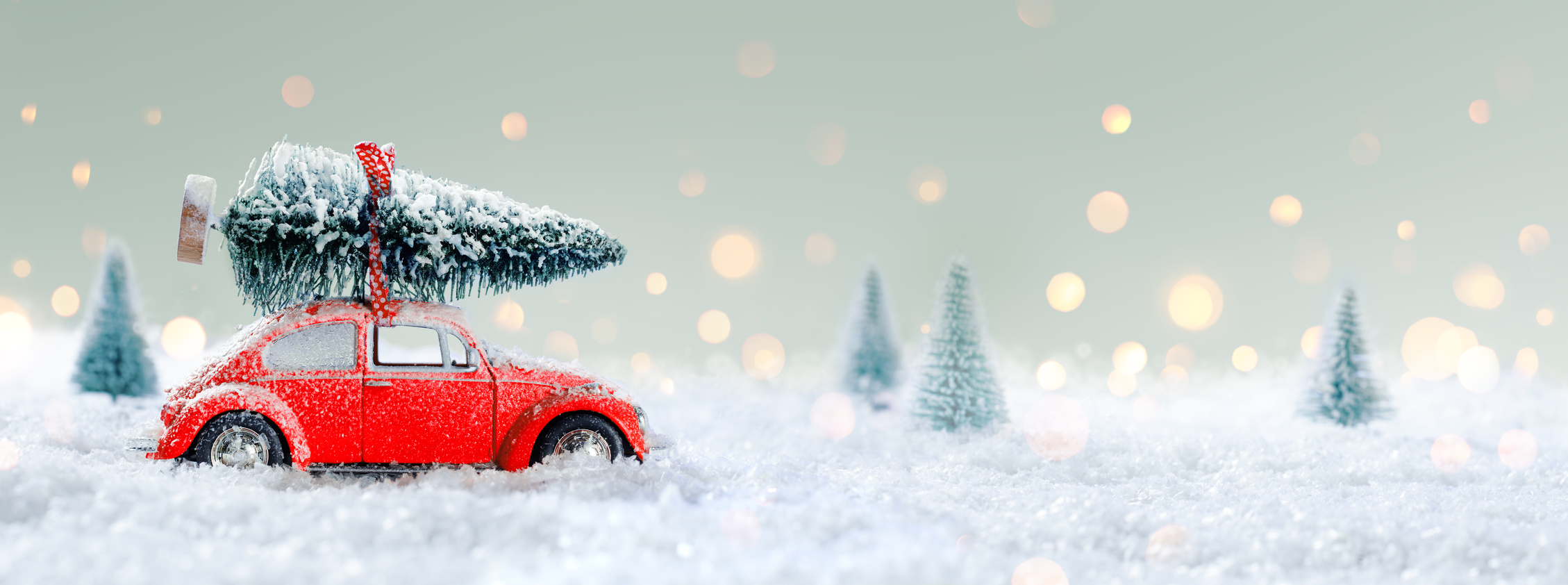A red car carries a tree through snow.